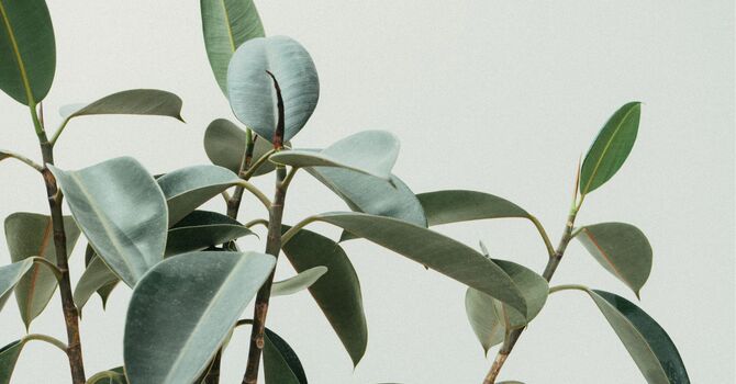 Active Release Techniques